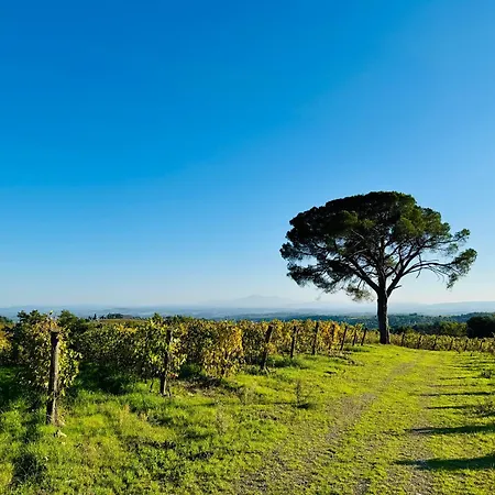 Libertas Tuscan Hideaway *